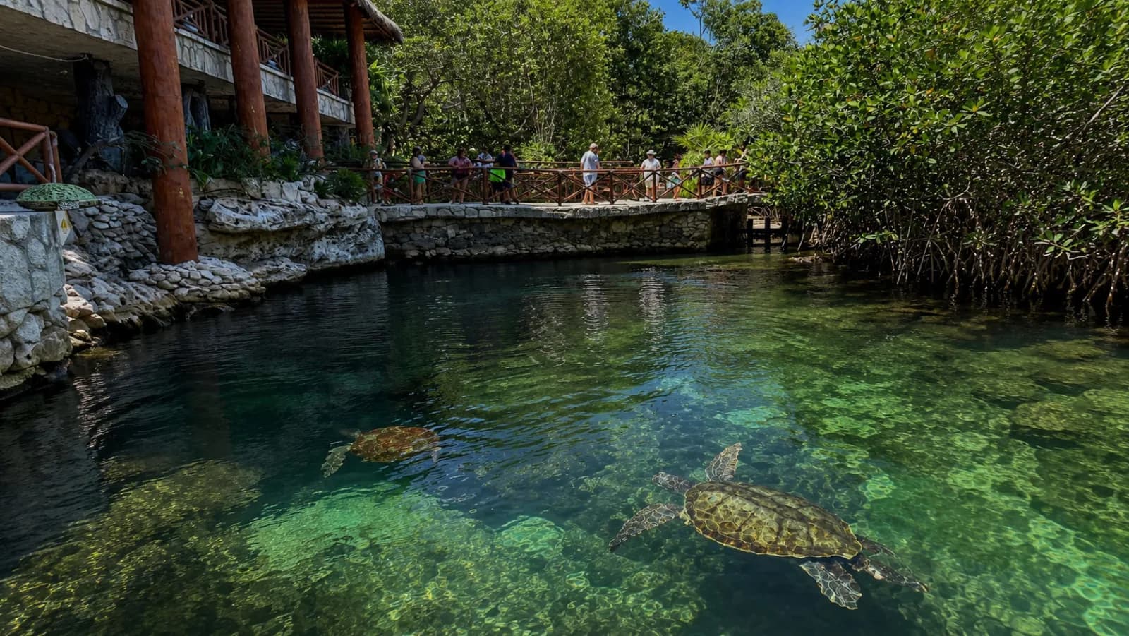 Cómo ganar dinero rentando tu carro en Playa del Carmen: guía para nuevos anfitriones | KORU