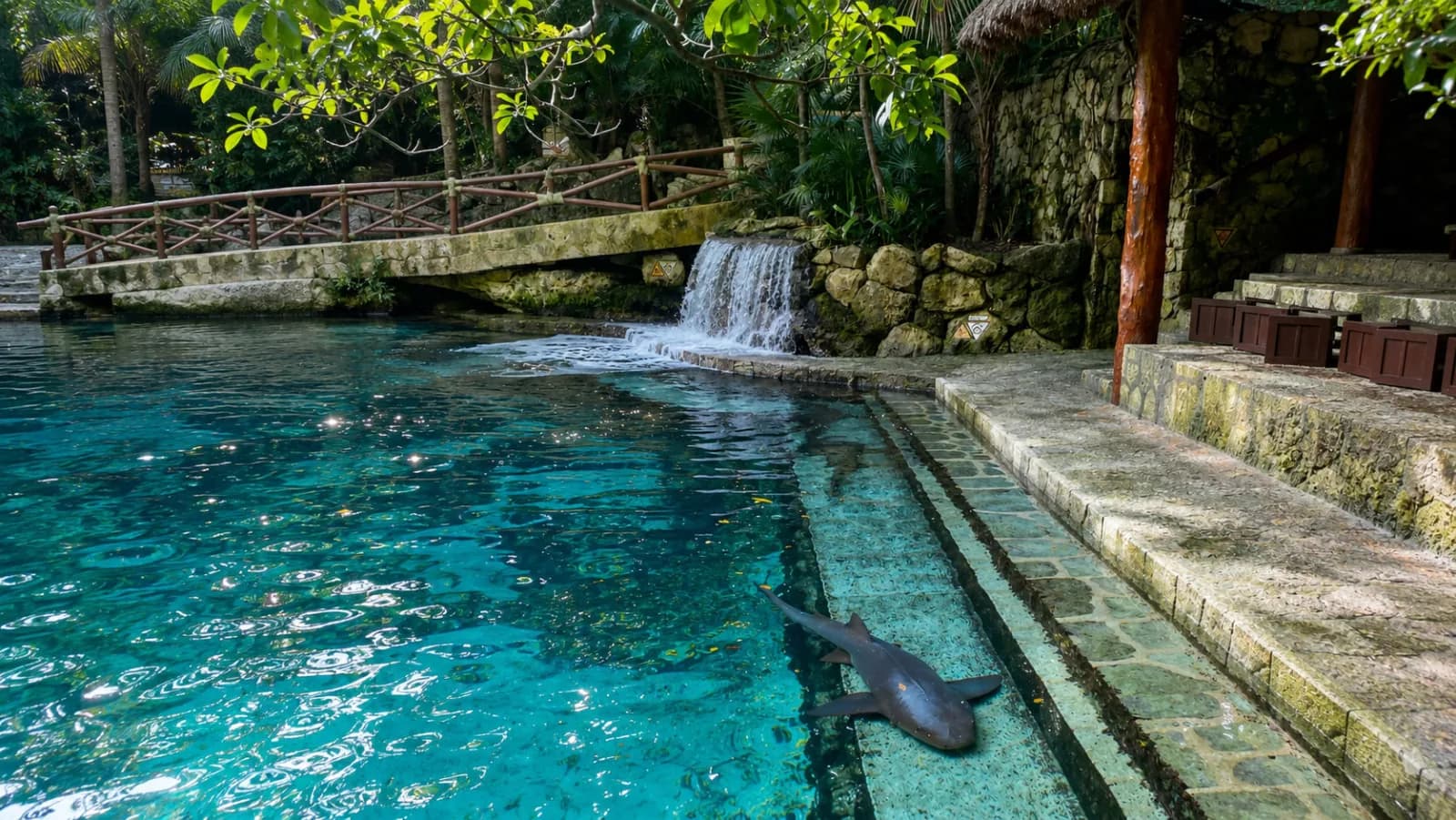 Recorrer la Riviera Maya en auto desde Playa del Carmen: cenotes, Akumal y Tulum 2026 | KORU