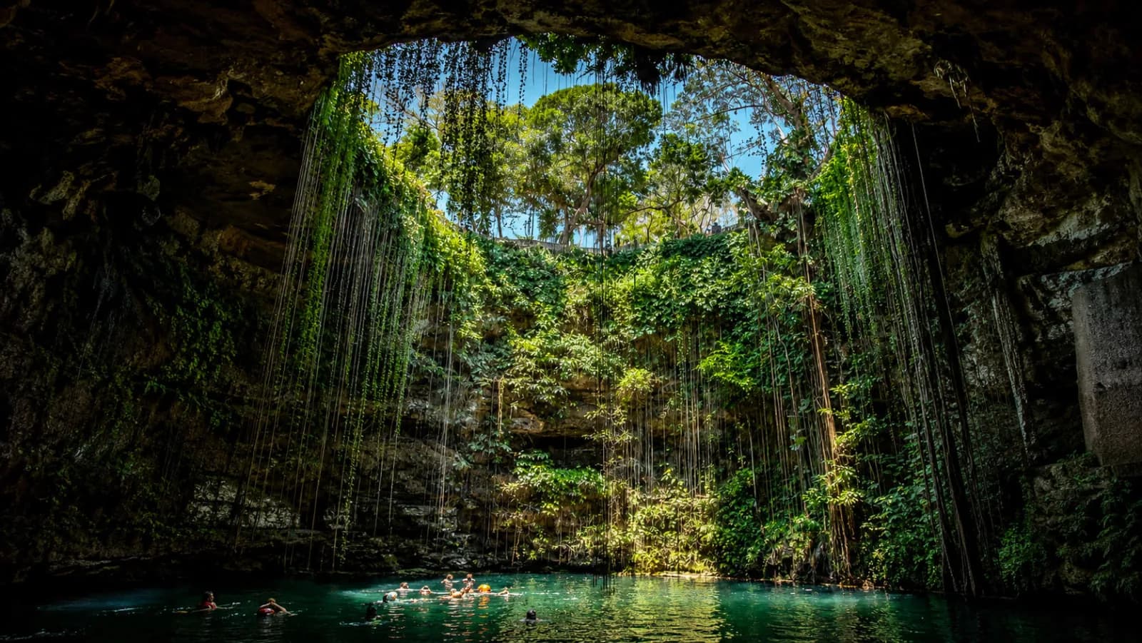 Los mejores cenotes de Tulum en 2026: cuáles visitar y cómo llegar por tu cuenta | KORU